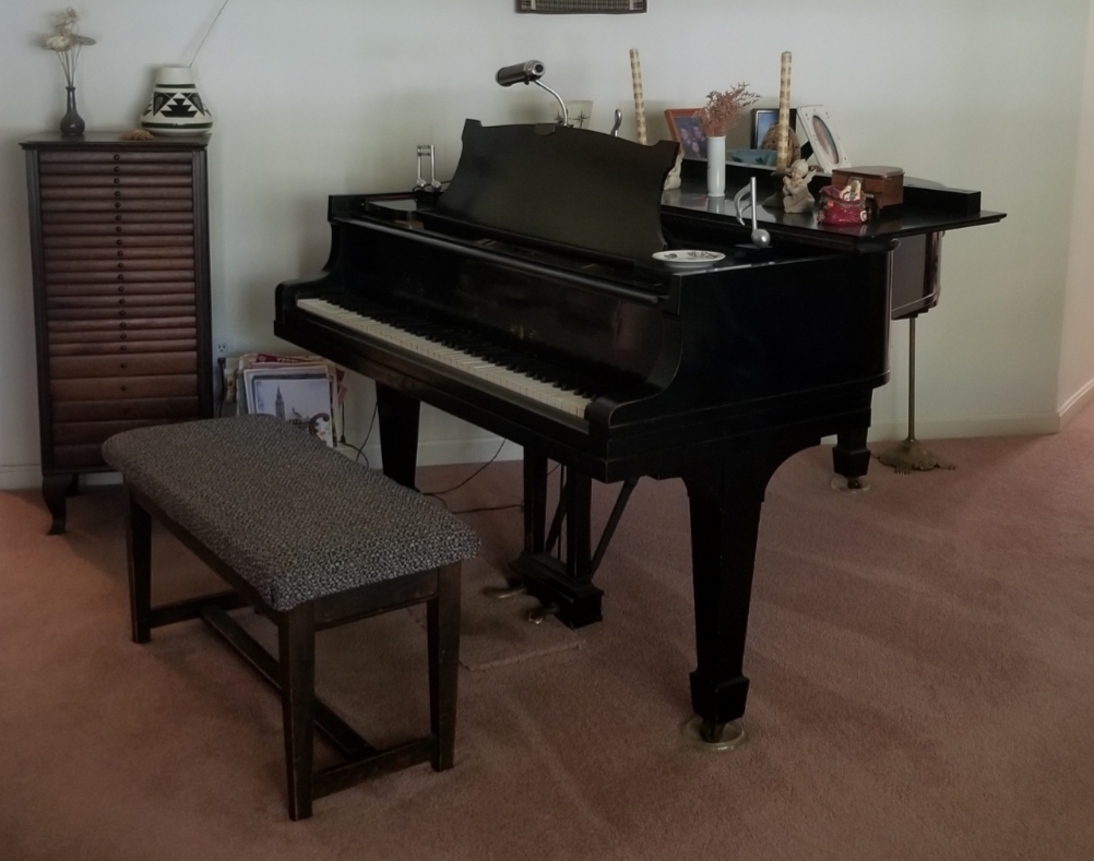 Well used Living Room Grand