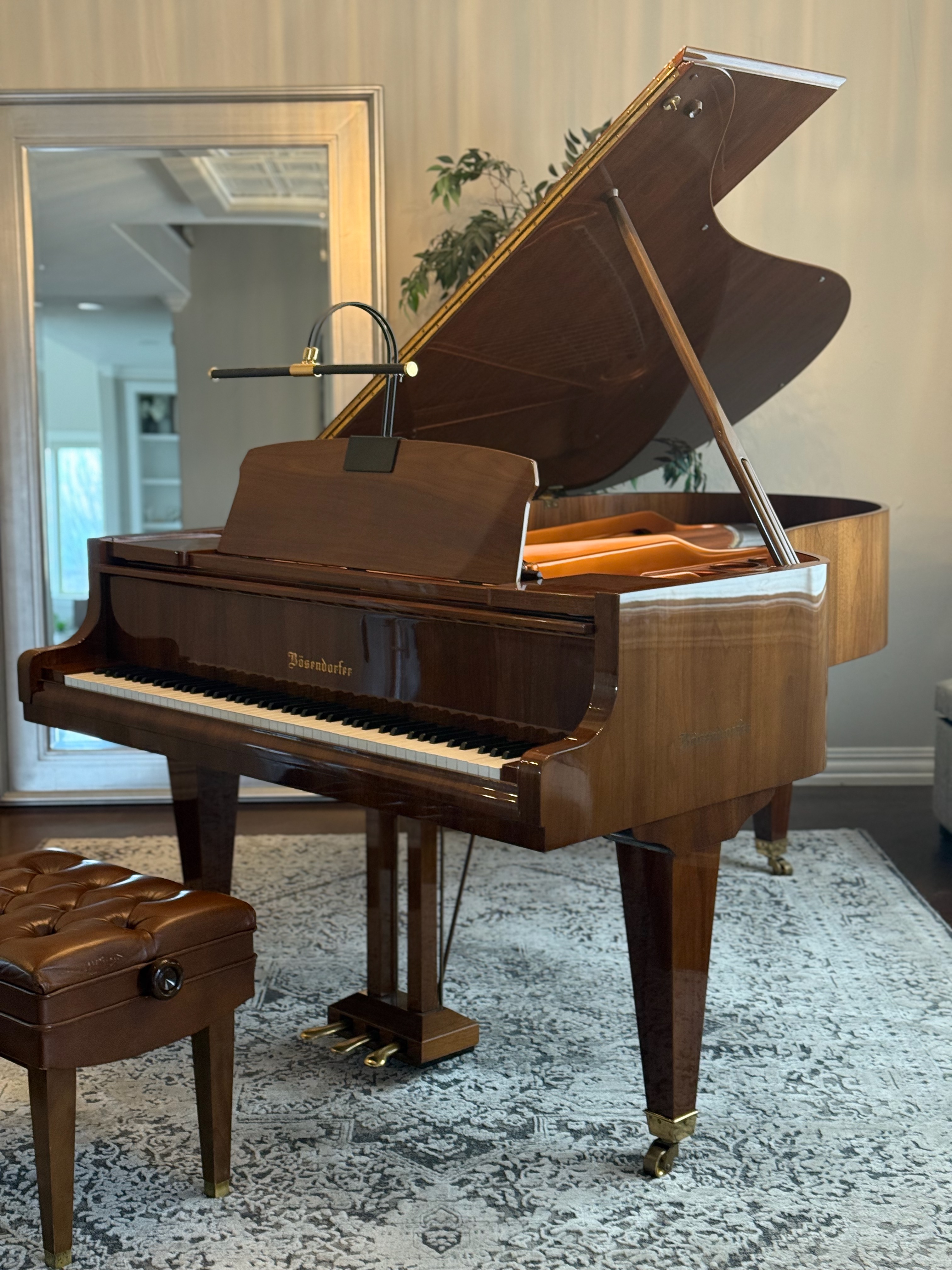  Exquisite Bosendorfer Grand Piano Walnut Finish 