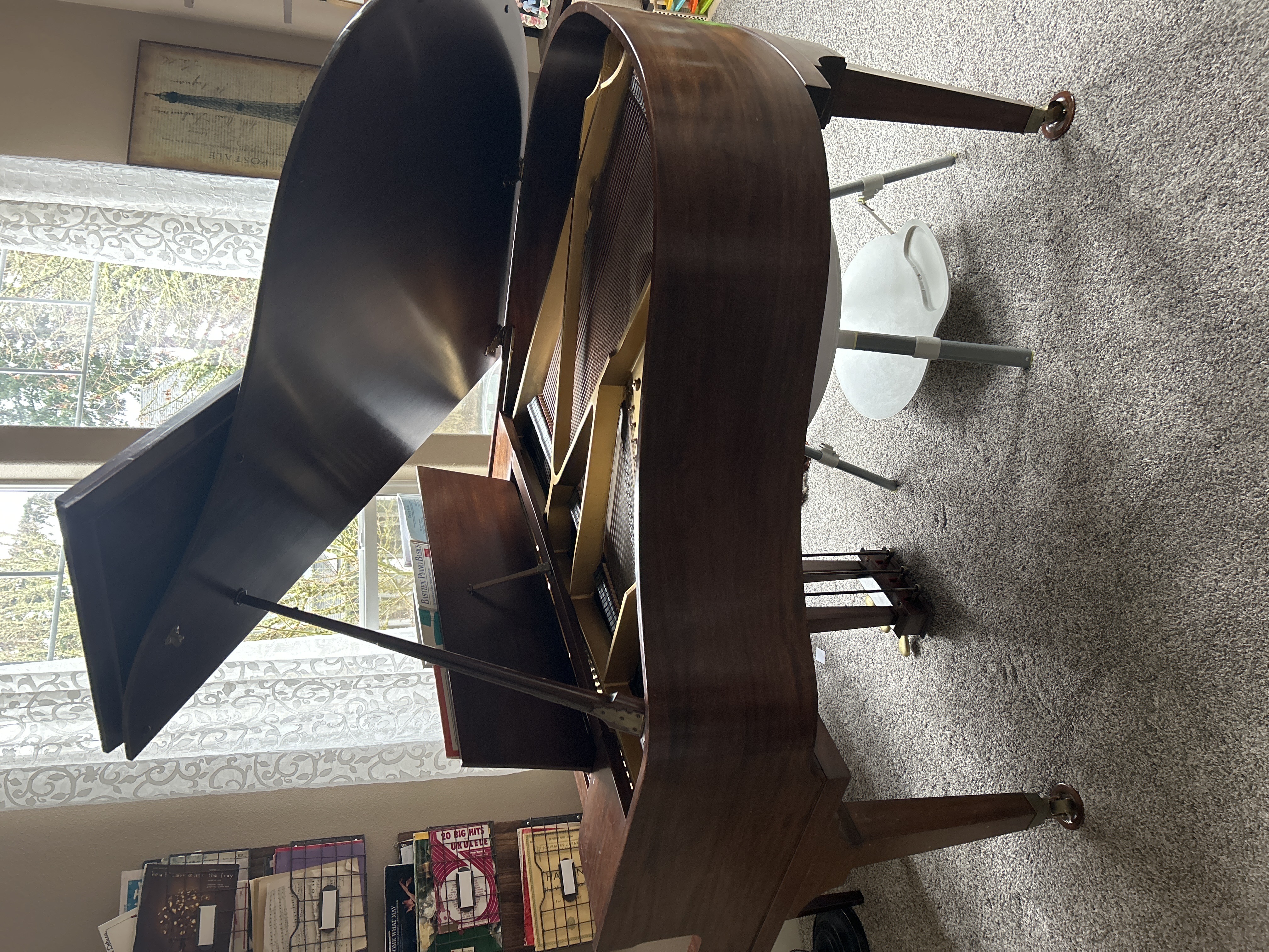 Baby Grand Bush and Lane