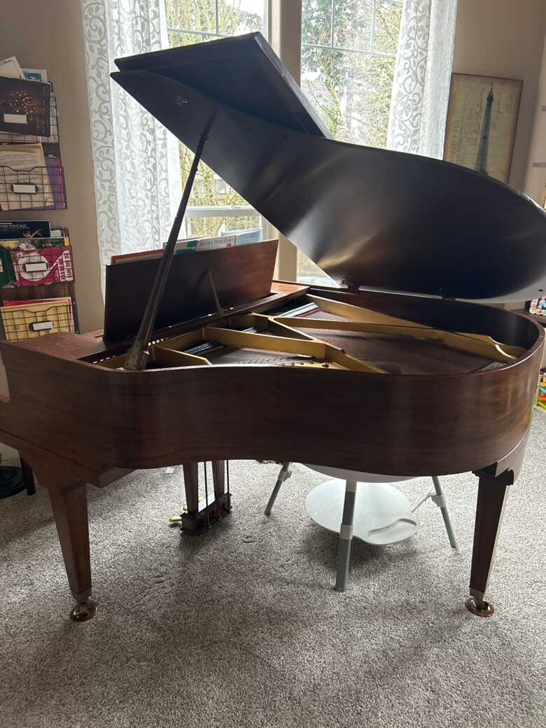 Baby Grand Bush and Lane