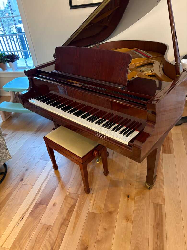 Baby Grand Petrof Piano 