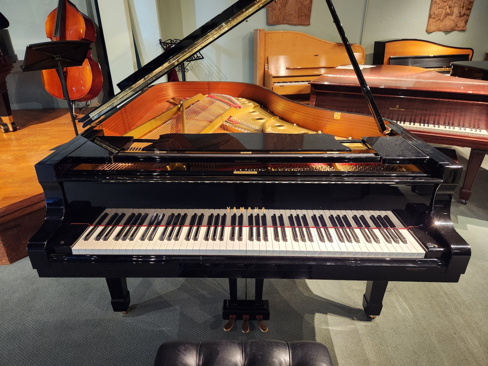 1993 YAMAHA C6 - LIKE NEW