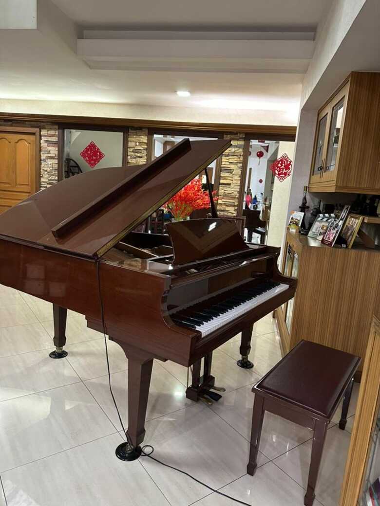 Lang Lang Anniversary Edition - Essex EGP - 173