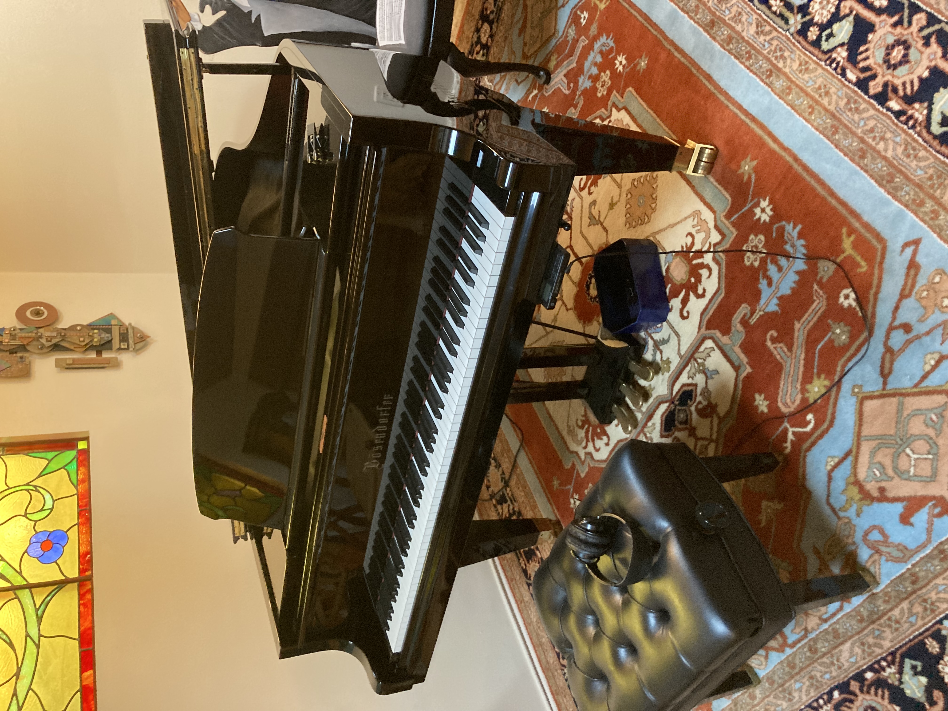 Gorgeous Bosendorfer baby grand 