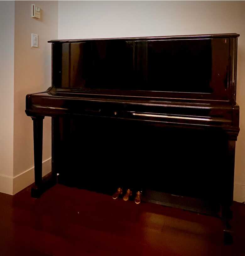 Schulze Pollmann Professional Upright Piano