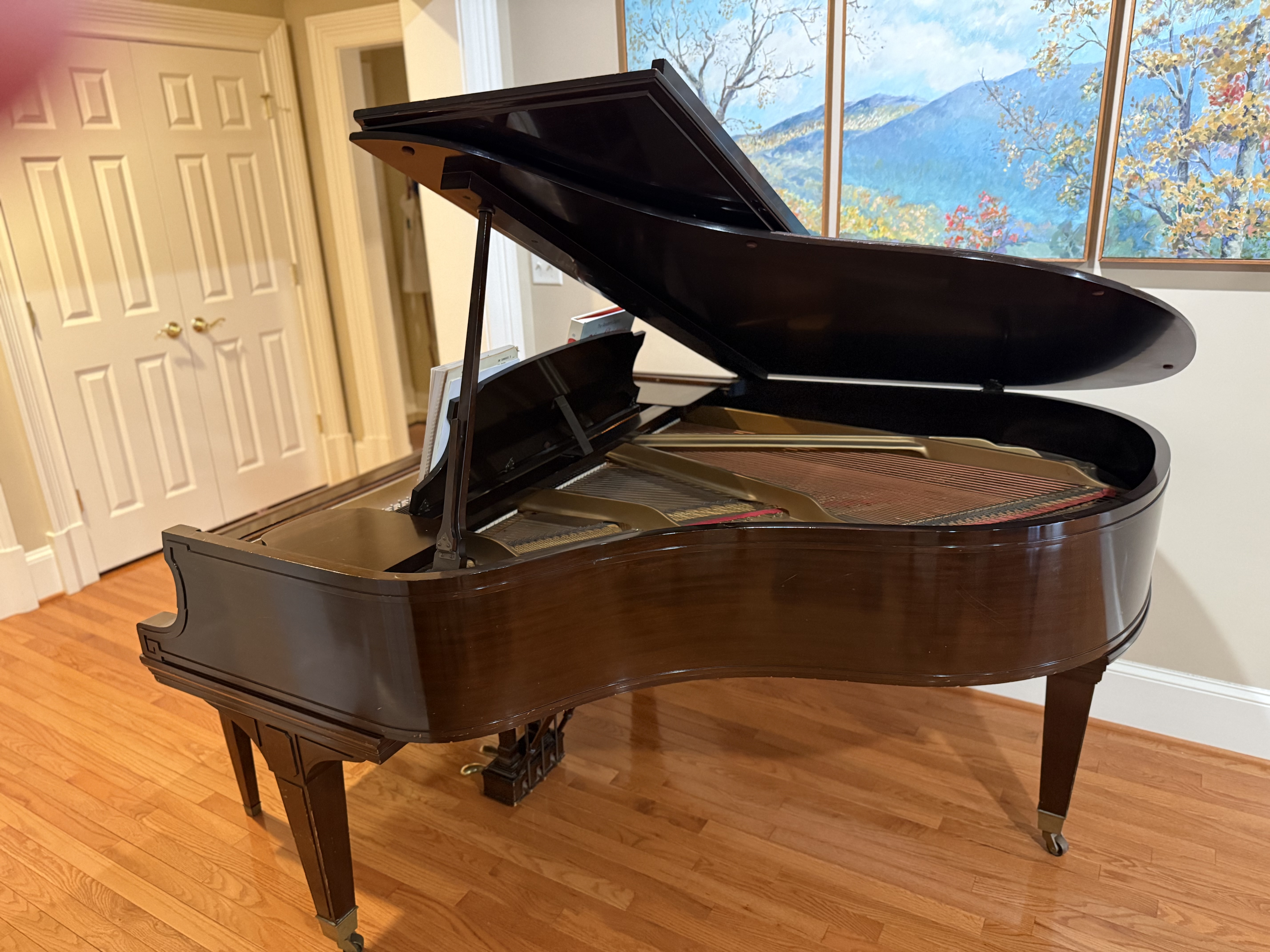 Exquisite Baby Grand Piano