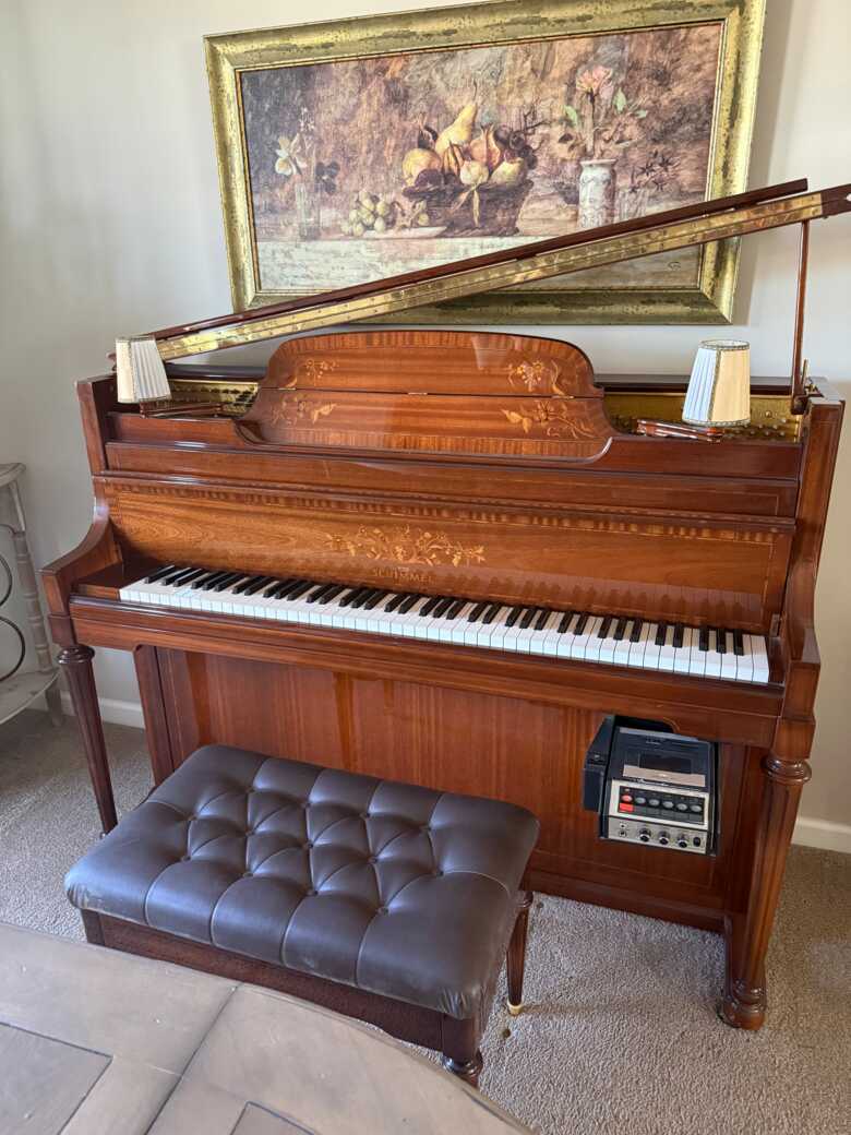 Schimmel Louis Seize Series 112 L