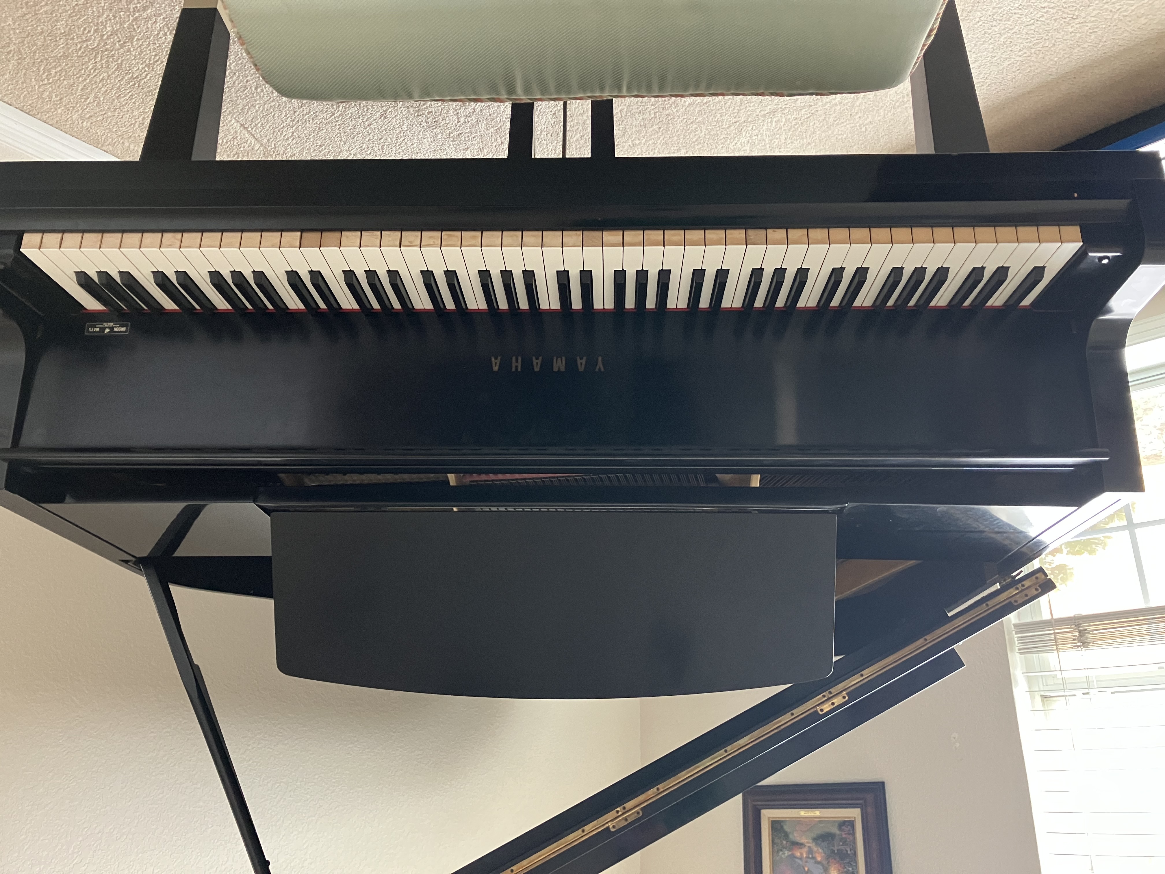 Beautiful 1977 Yamaha GH1.