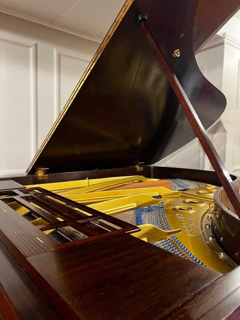 Blüthner Style VIII Grand Piano Rosewood Beautiful Tone 