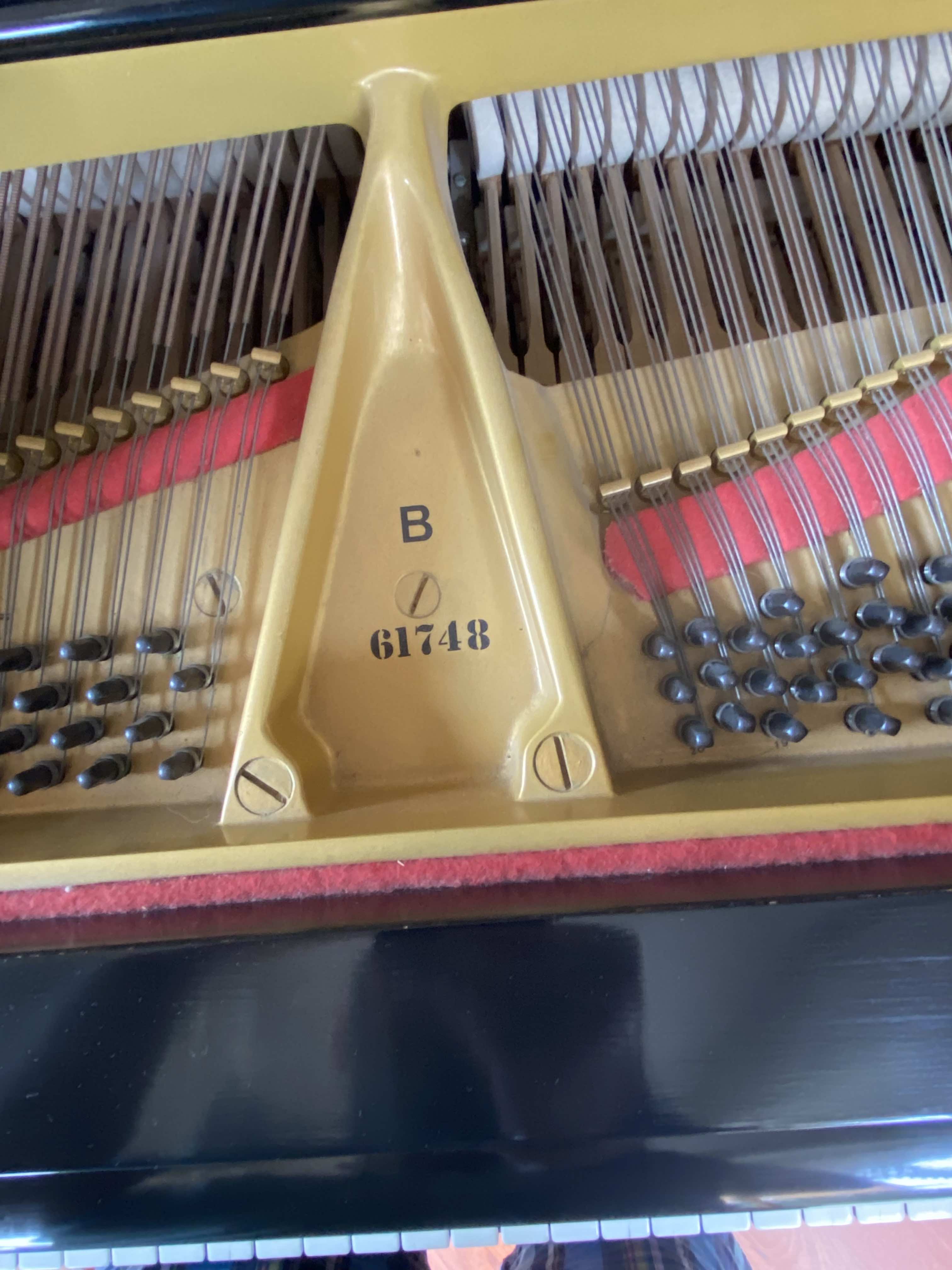 Steinway Grand B