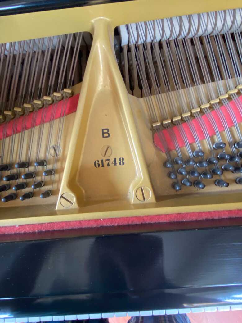 Steinway Grand B