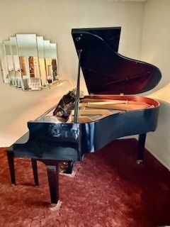 Baby Grand Like New