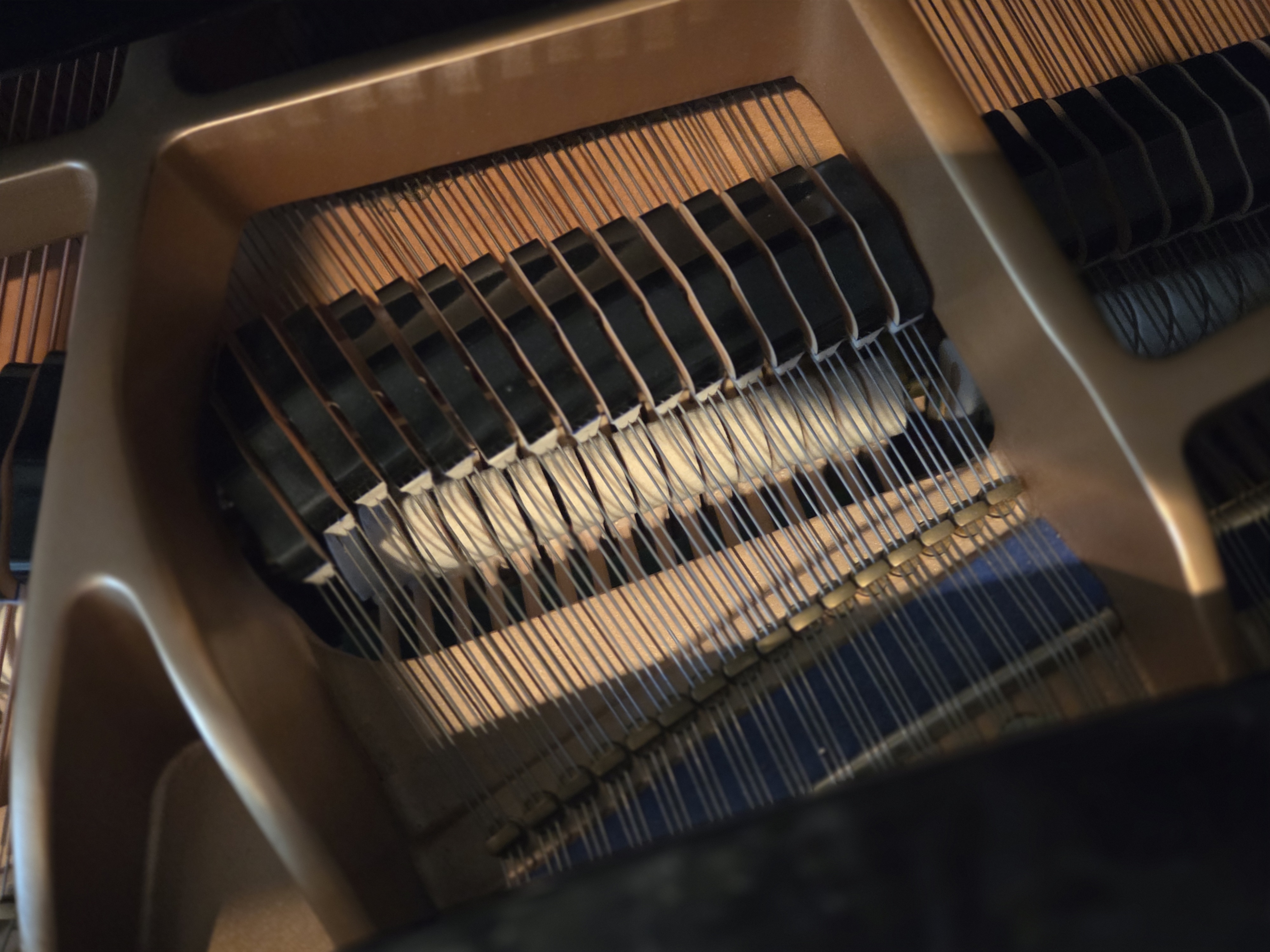 Beautiful Baby Grand 