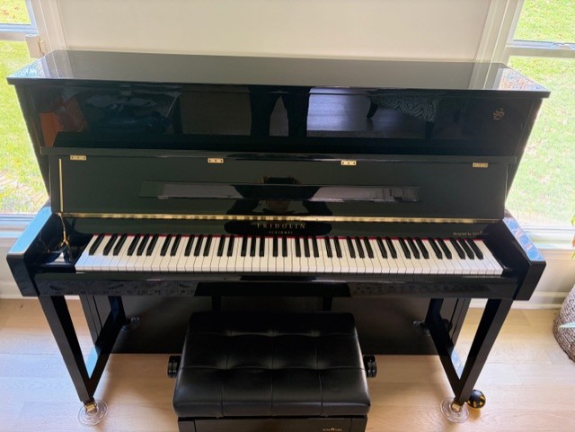Excellent condition and lightly used Schimmel
