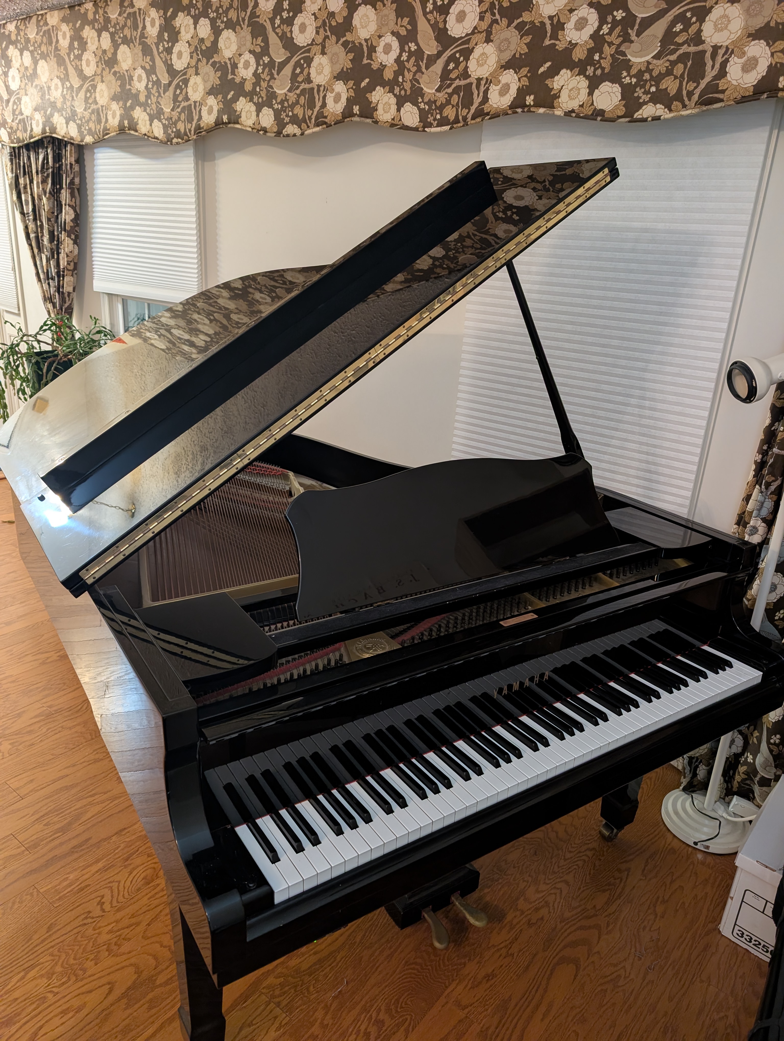 1971 Yamaha Grand - G3