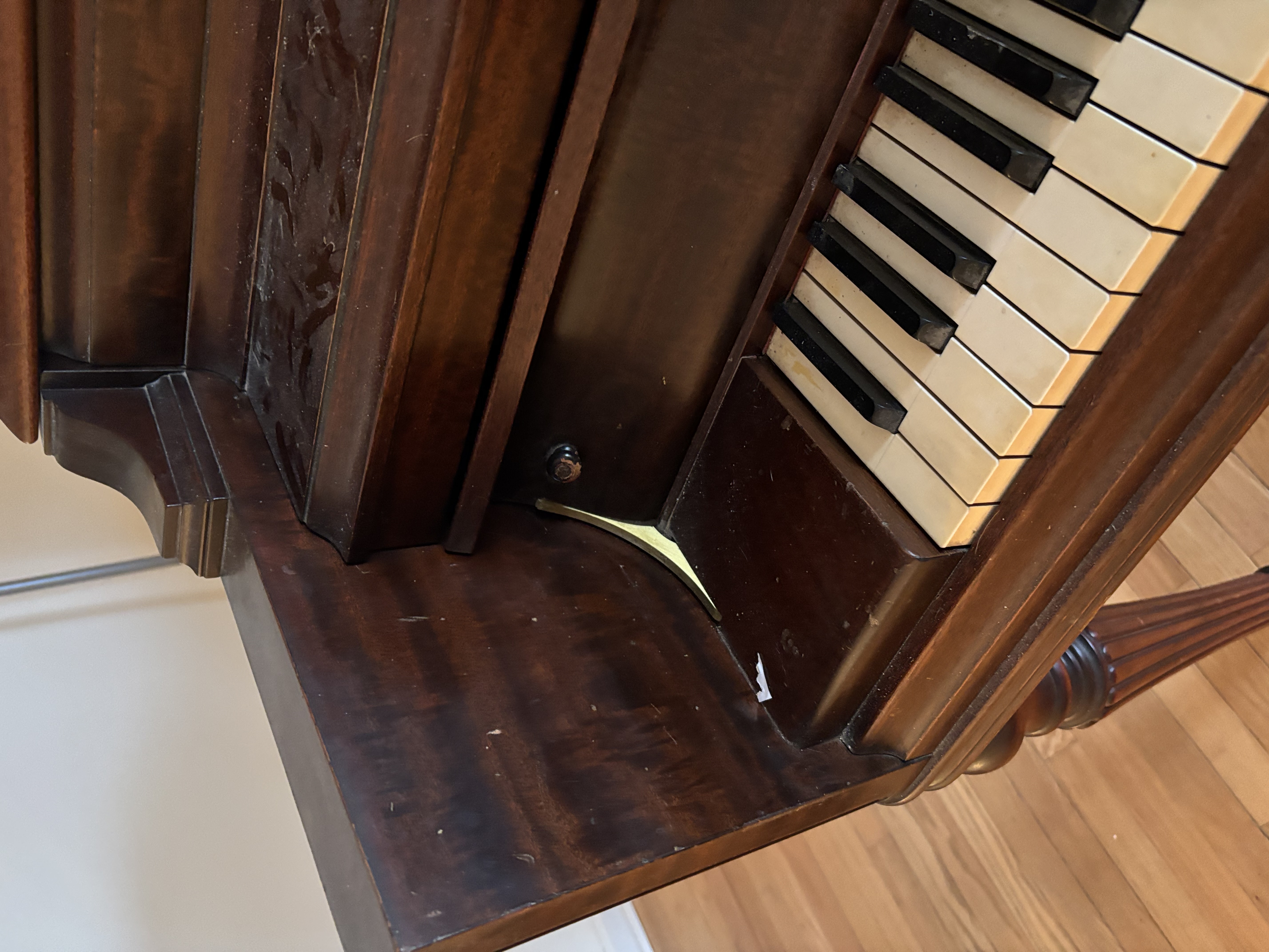 Looking For A New Home 