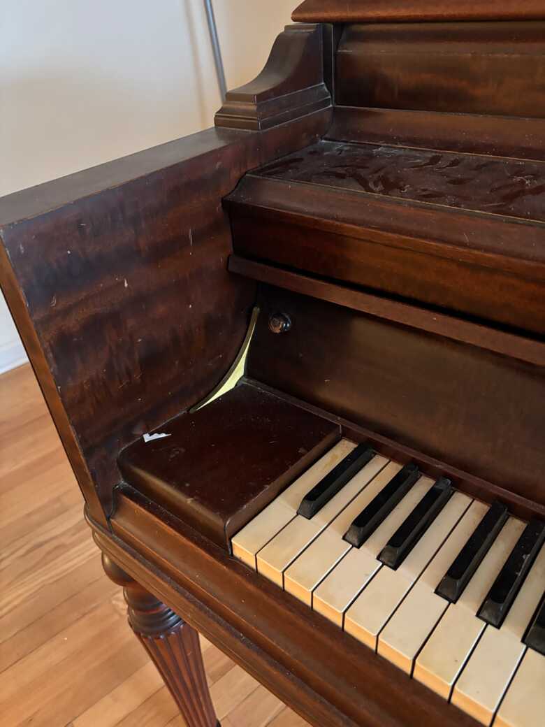 Looking For A New Home 