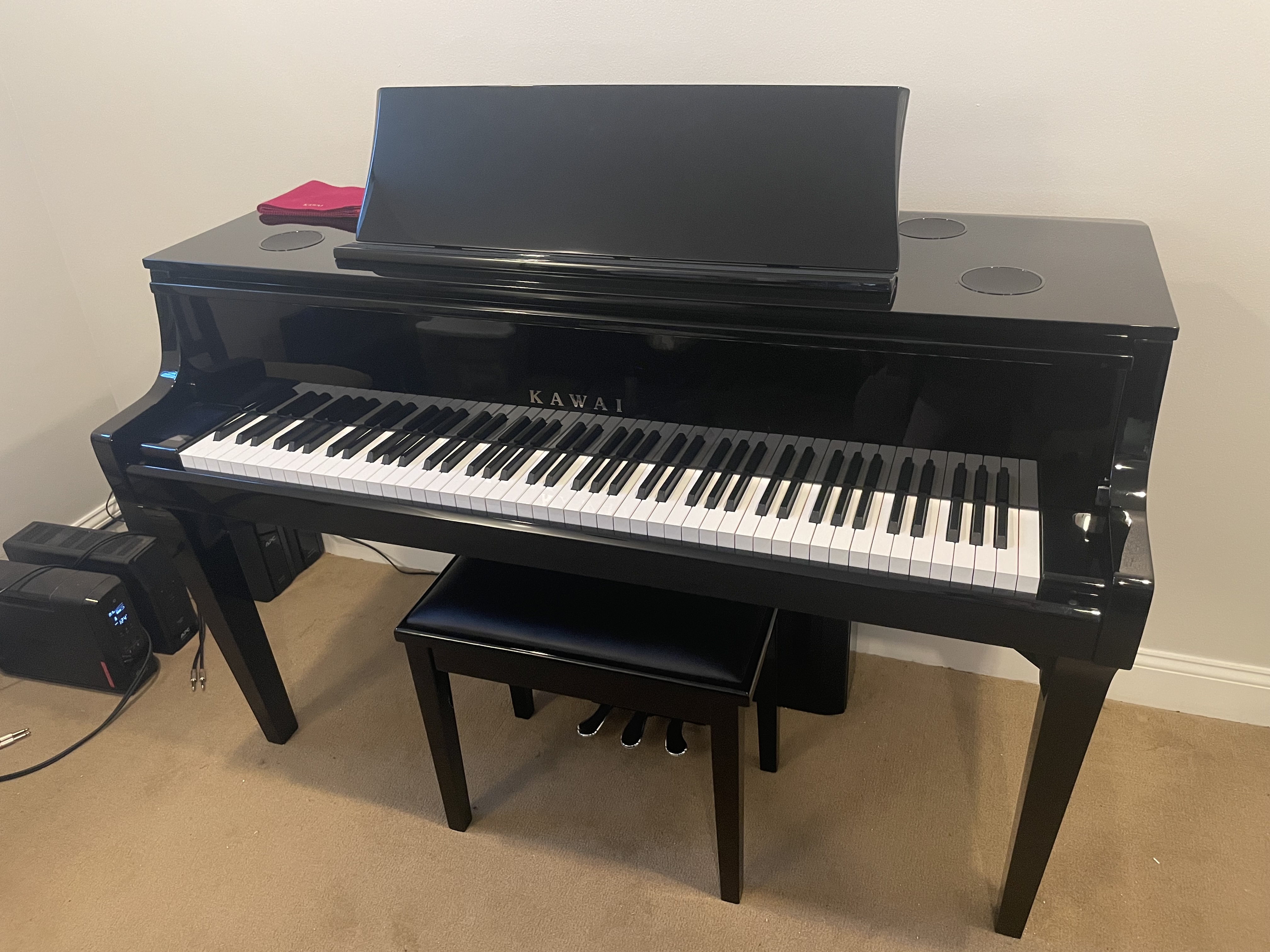 Kawai NV10S