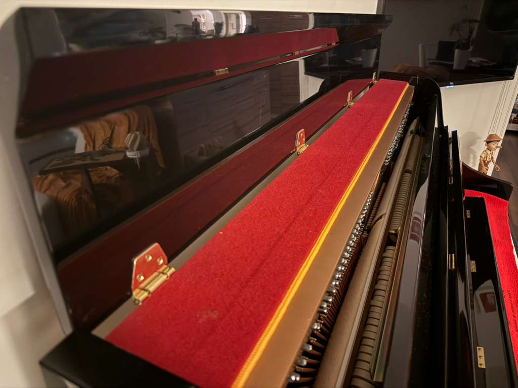 Single Owner Brand New Condition Piano