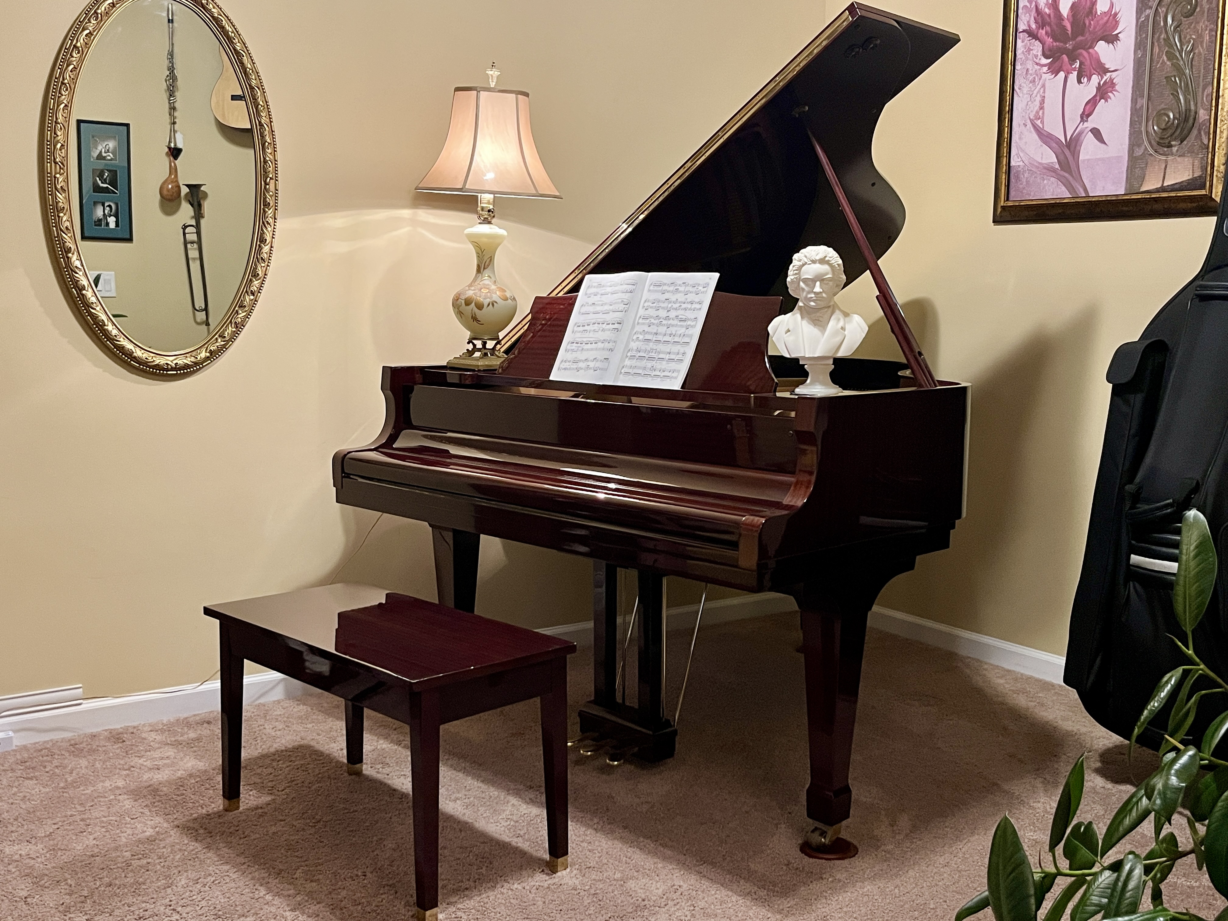 Pristine Classic Grand Mahogony Kawai