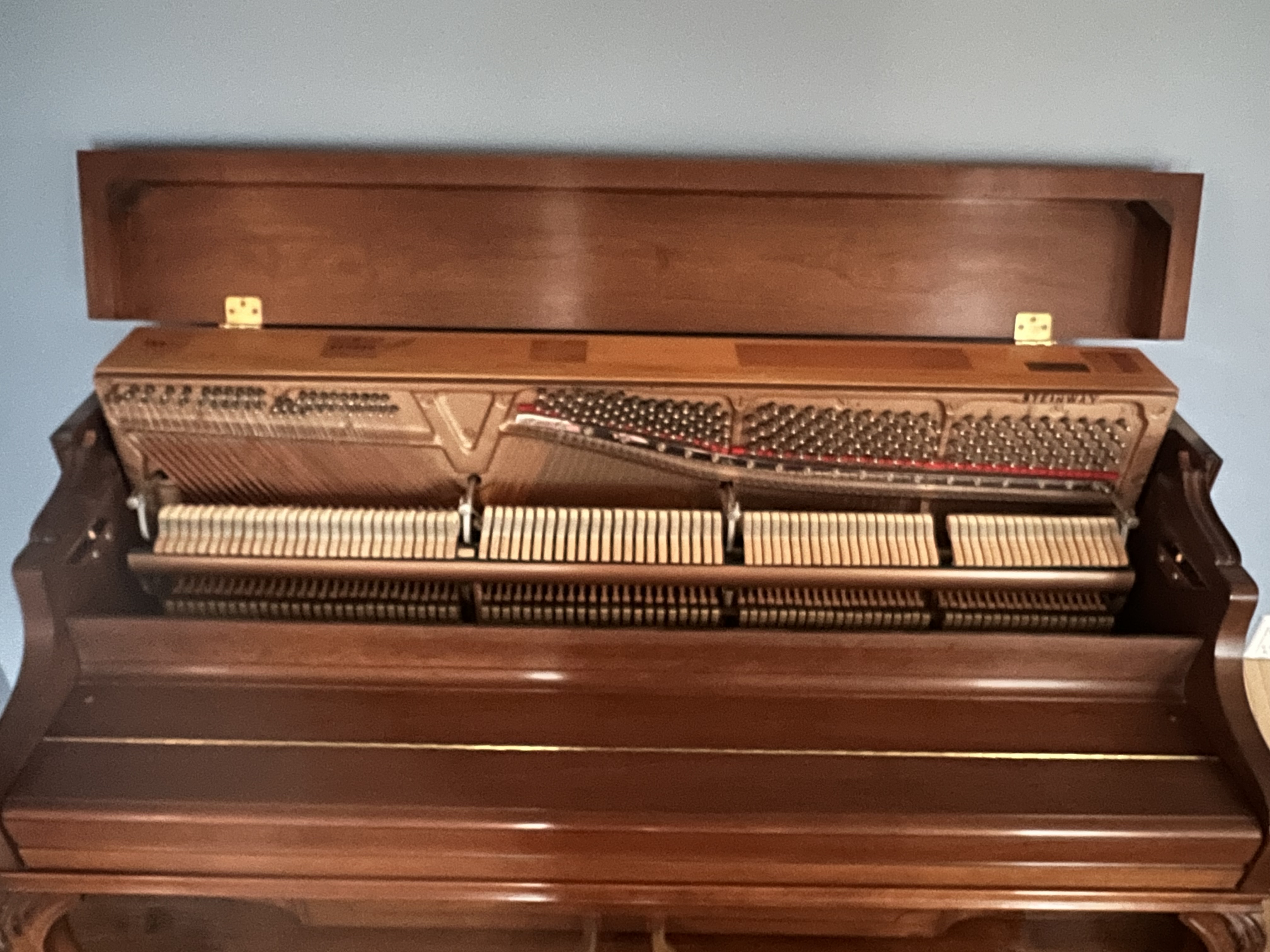 Steinway Upright Grand - Mint Condition