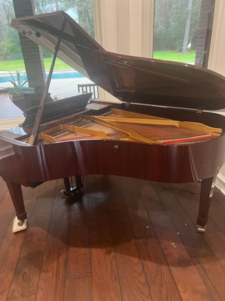 Pristine Condition Petrof Grand Piano