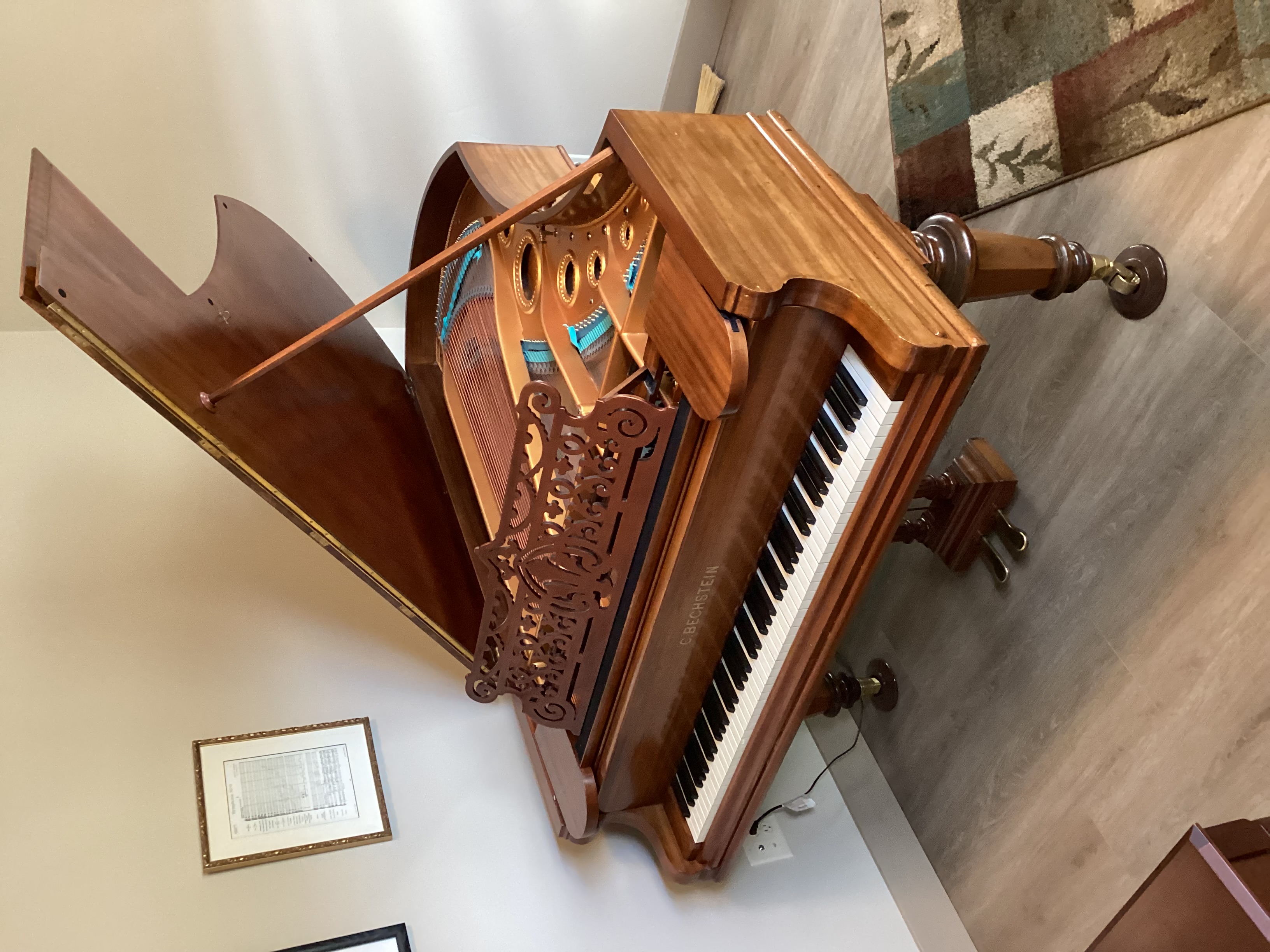 Rare Bechstein Grand