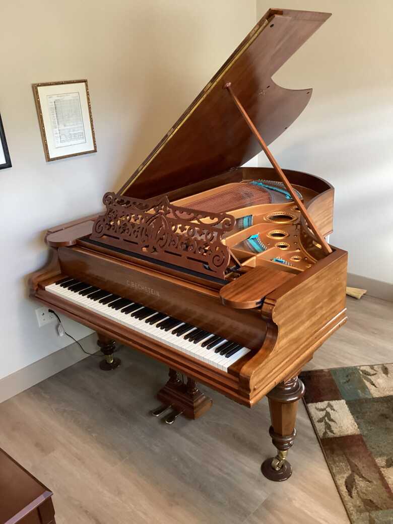 Rare Bechstein Grand