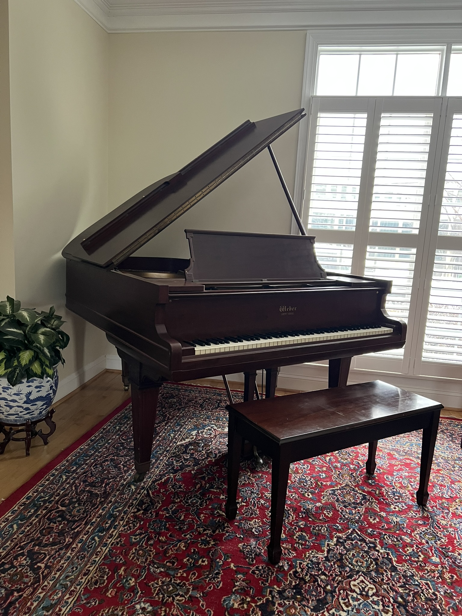 Classic Weber Baby Grand with Bench