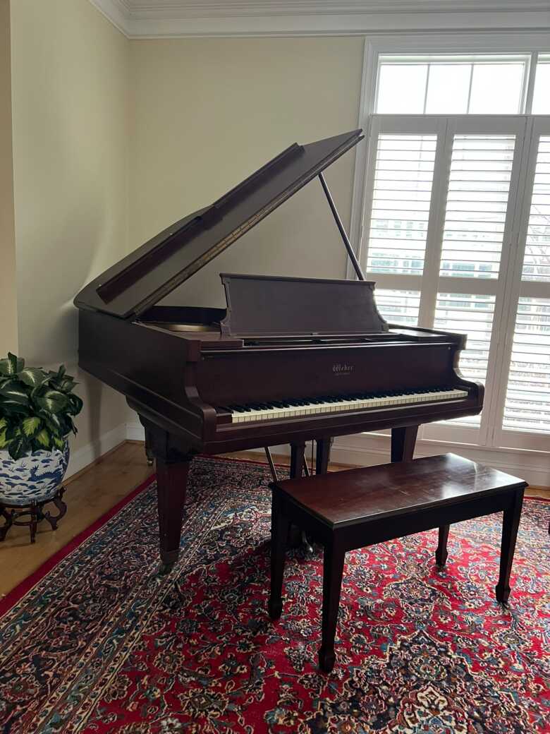 Classic Weber Baby Grand with Bench