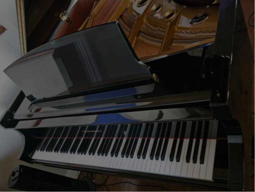 Beautiful BP165 needs a new home