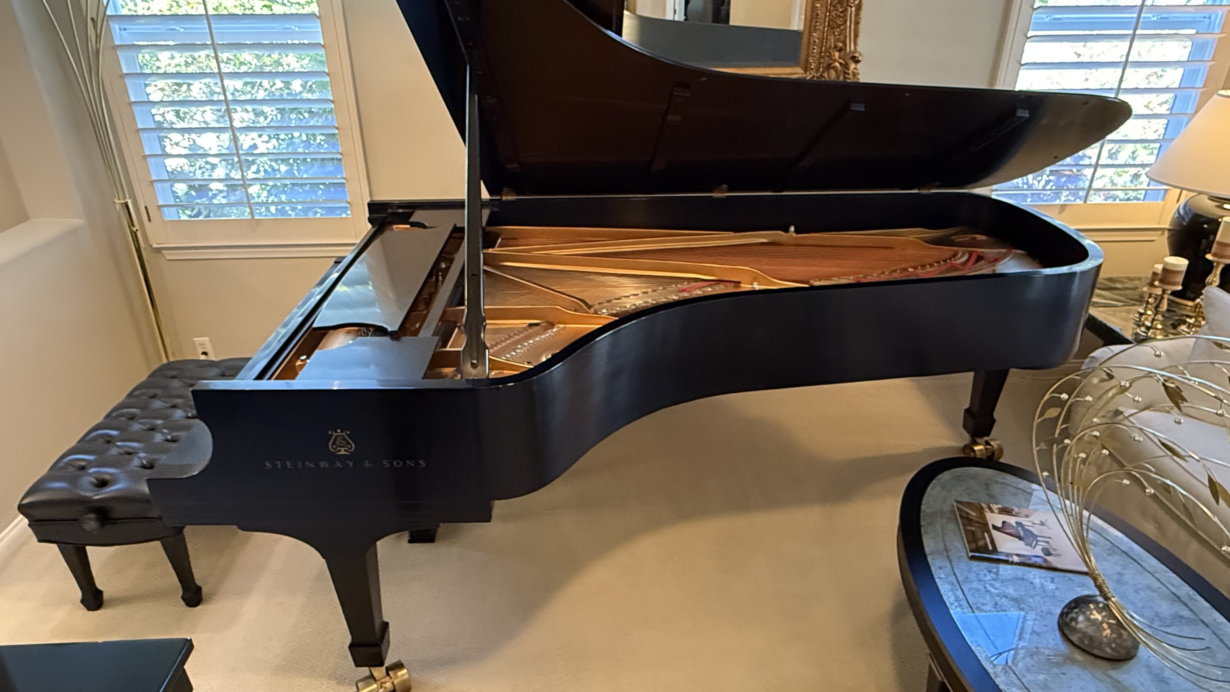 Steinway Concert D 