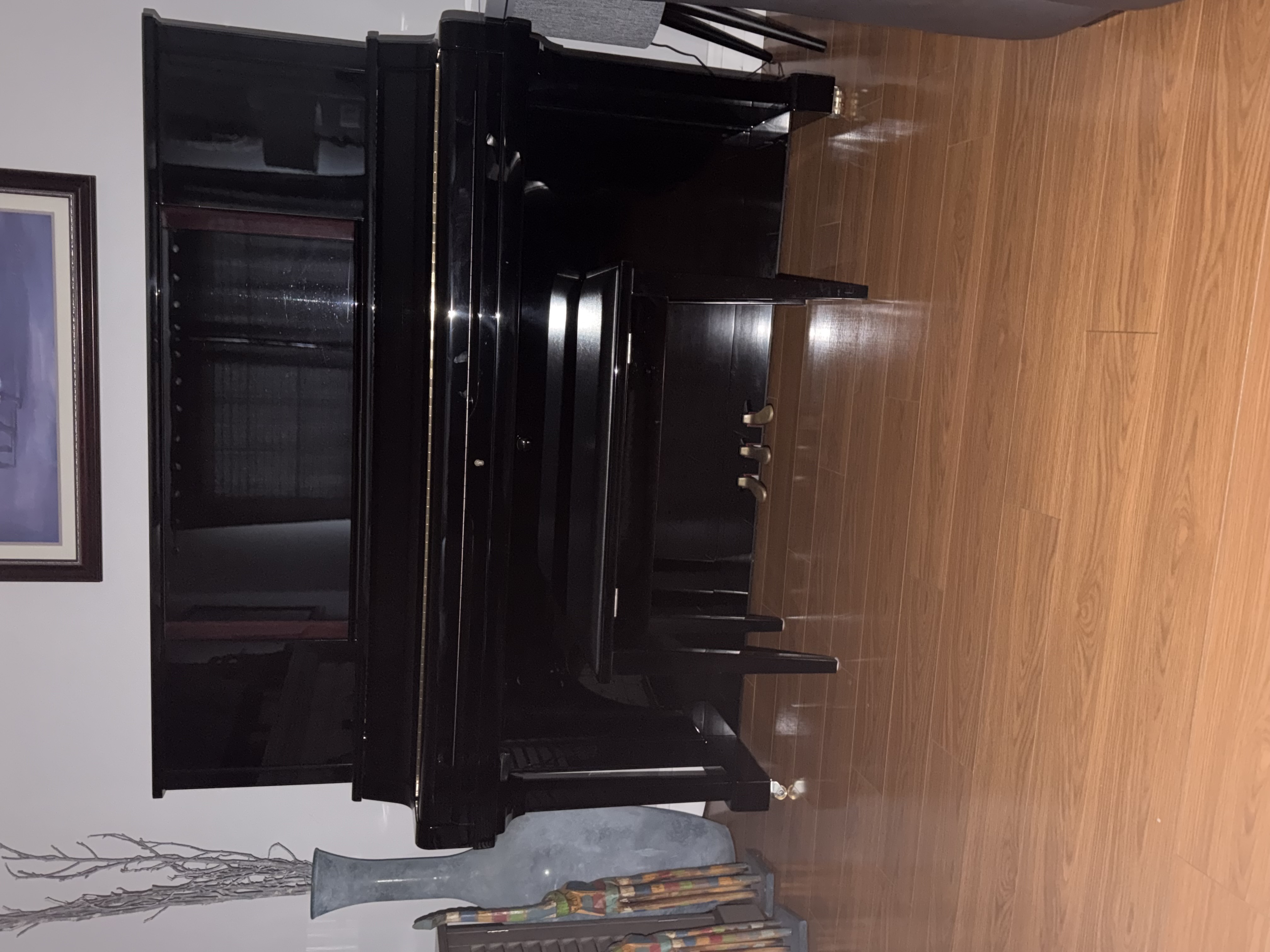 Mint Condition YUS5 Polished Ebony