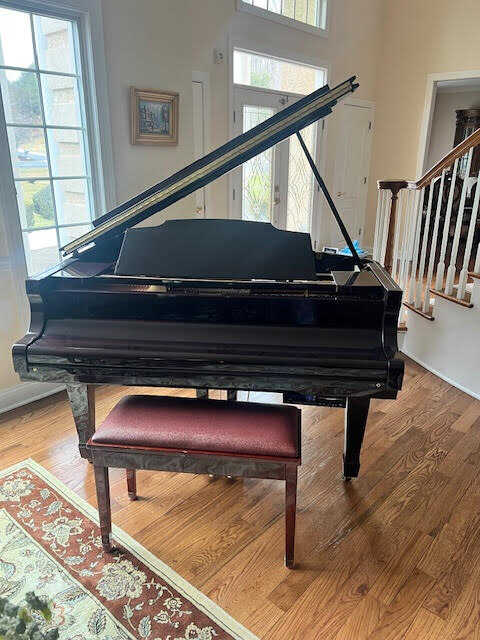 Piano Disc Piano
