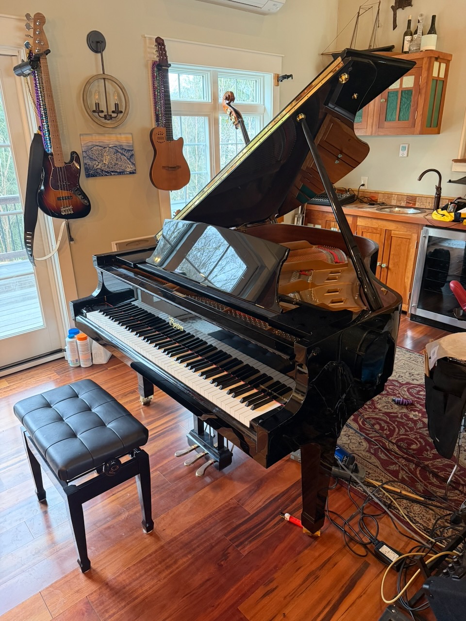 Boston GP 163 PE- Like New, w/PianoDisk Player Unit