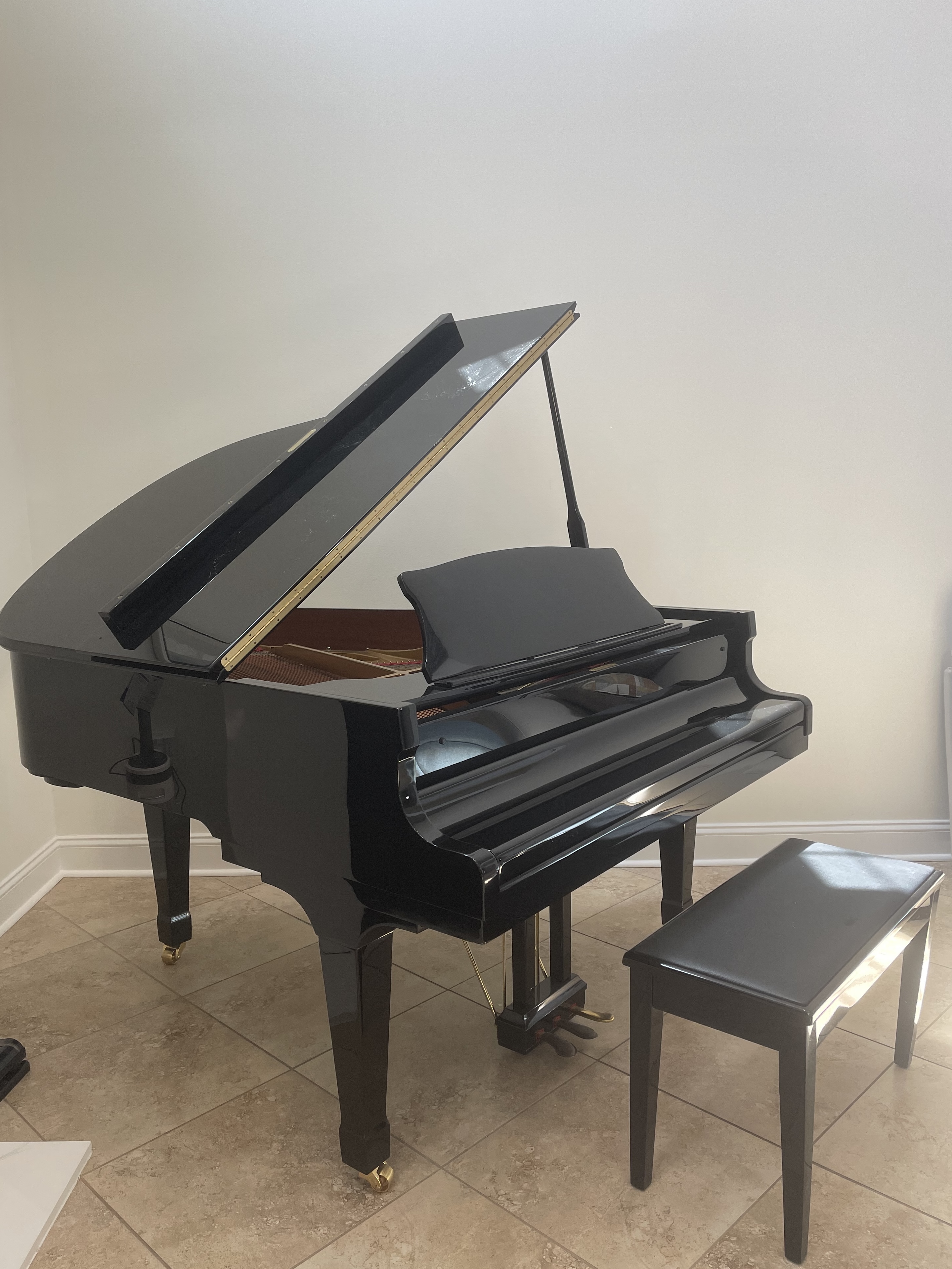 Hallet Davis Classic Grand Piano (5‘9“ DG176)