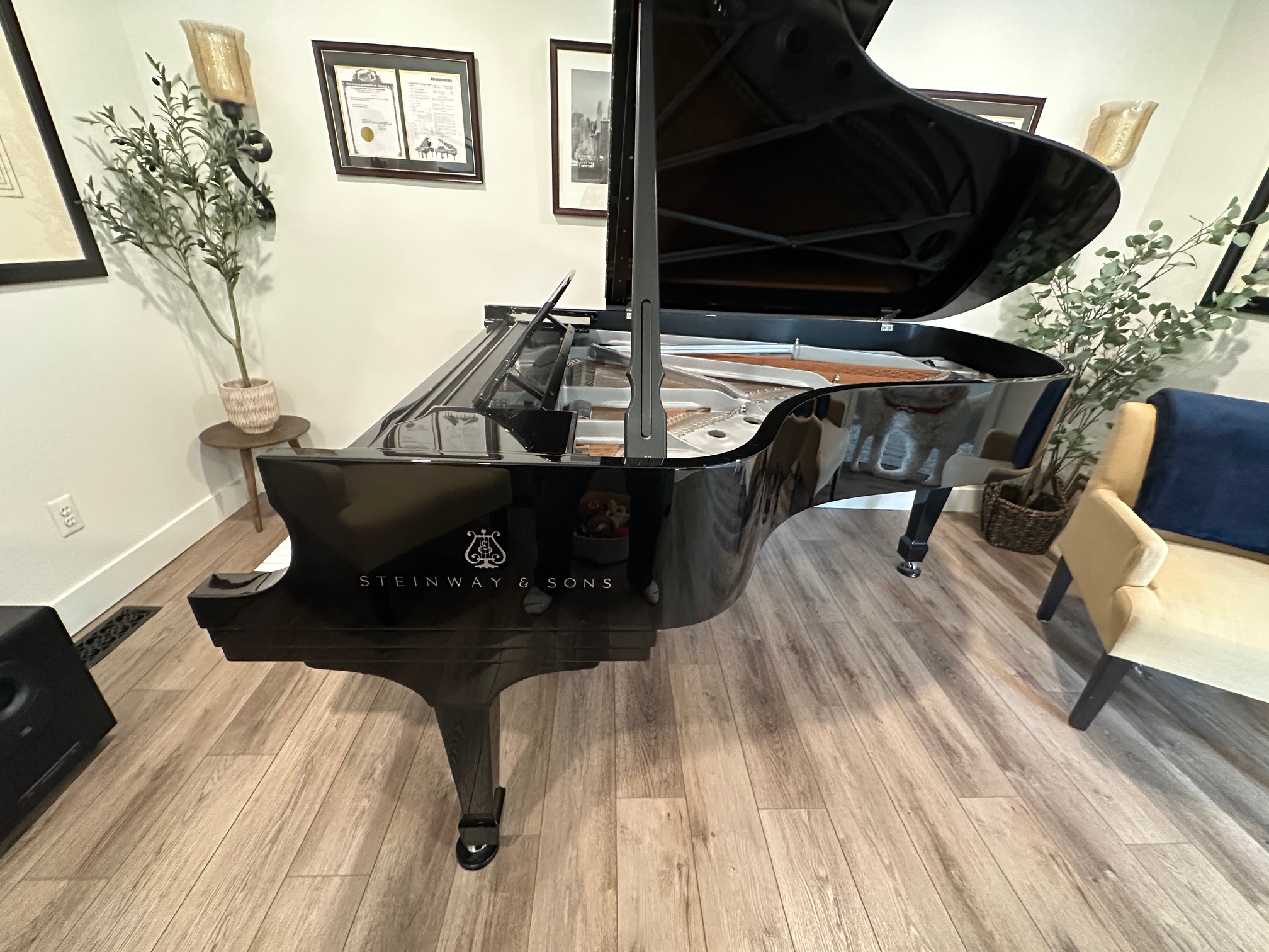 Steinway Model B-Steinway Executive’s (ret) Piano