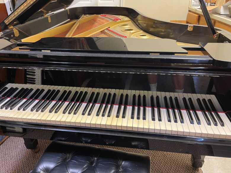 Yamaha Grand Piano—Nippon Gakki Co, Hamamatsu, Japan