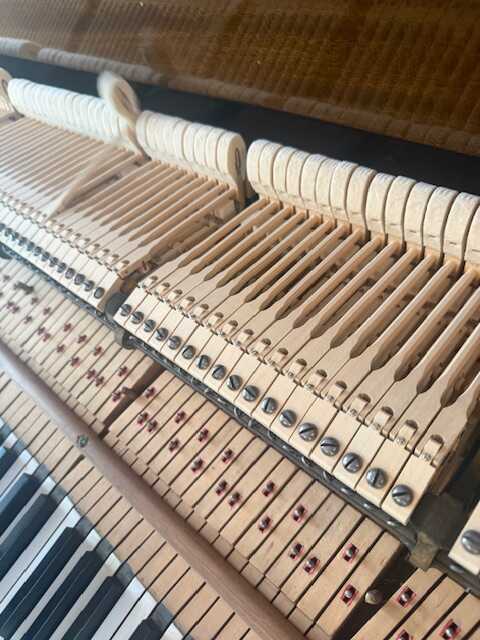 1918 Steinway Model A Grand Piano (Refurbished)