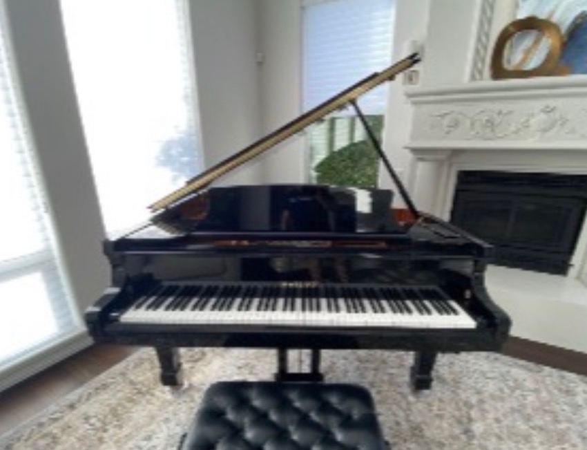 Hailun 178 Grand Piano (5’10”) concert-quality with player.