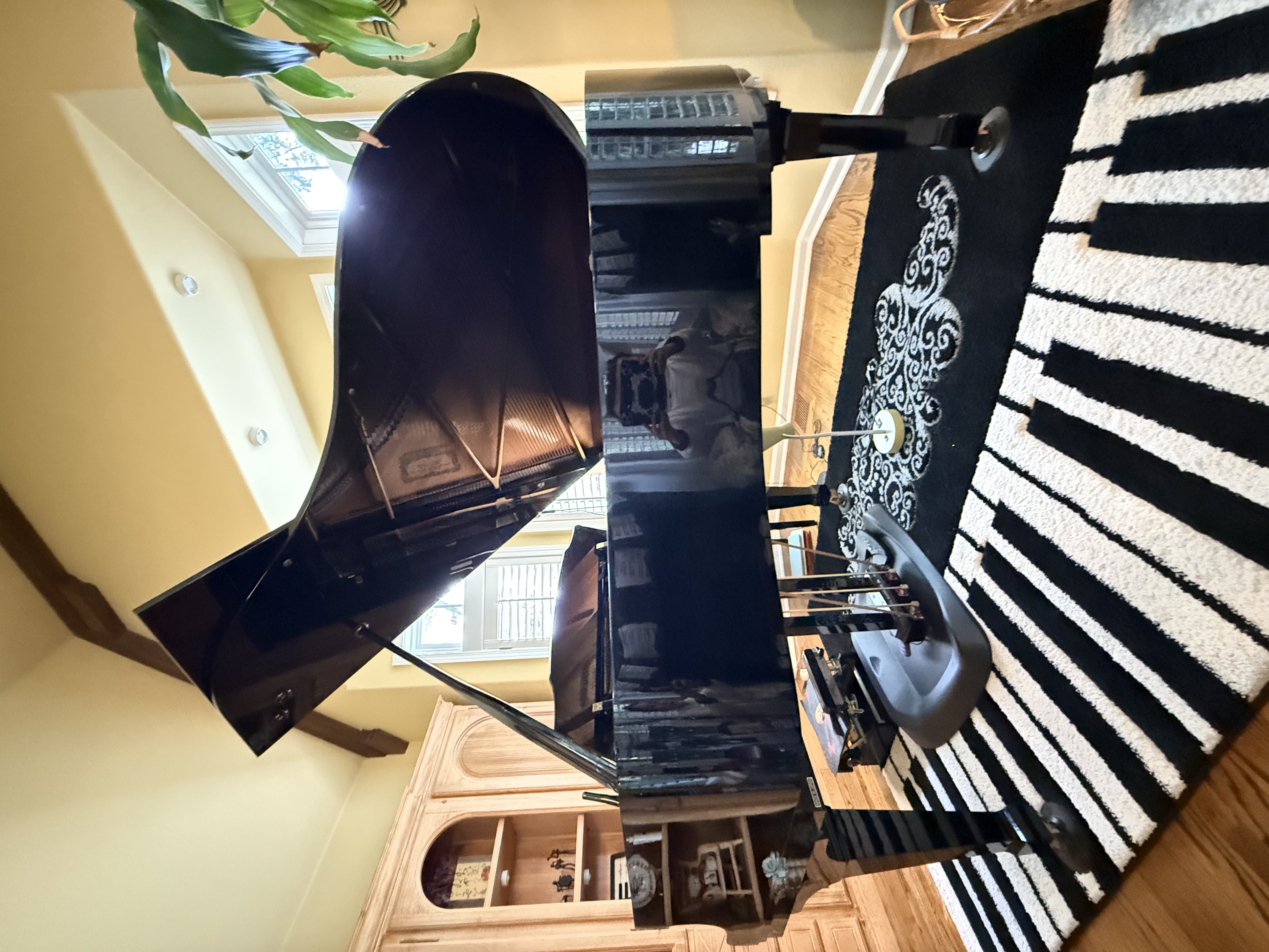 Stunning Kawai RX-3 Professional Grand Piano