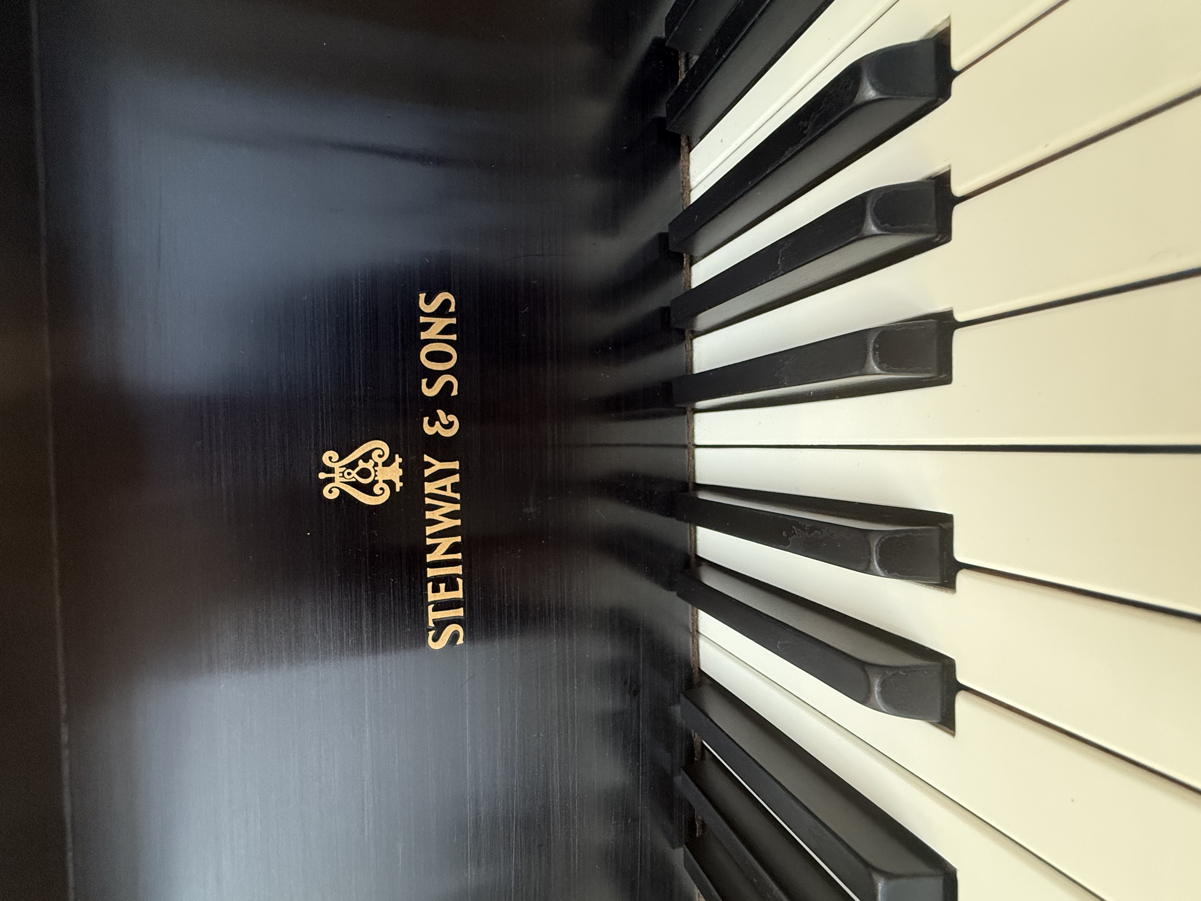 Gorgeous Steinway M