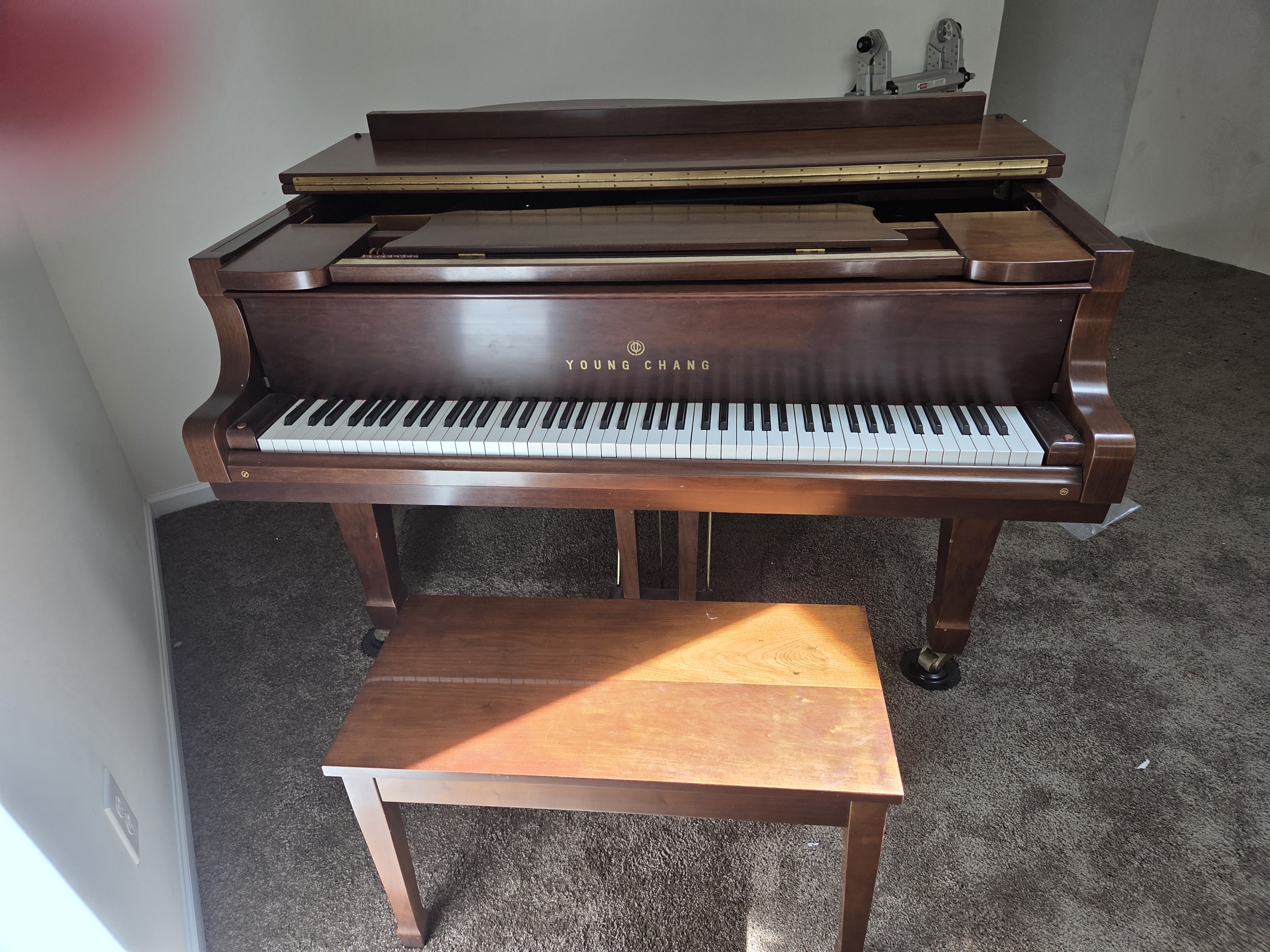 Young Chang G-150 baby grand with bench great condition