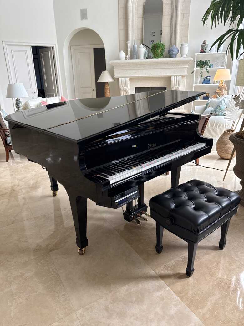 Boston Baby Grand Piano (Steinway Designed) w/ PianoDisc Pla