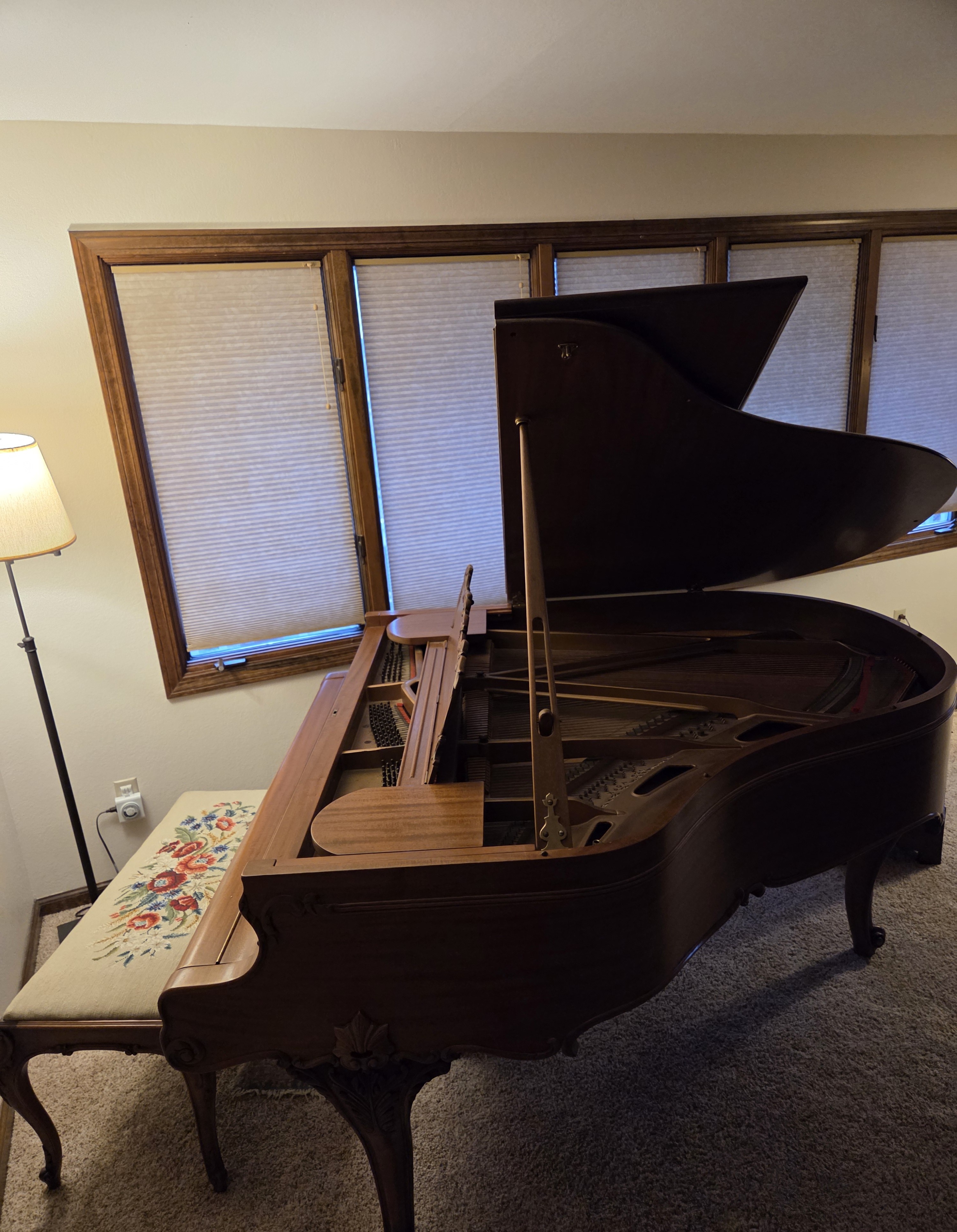 Antique Kranich and Bach Louis XV