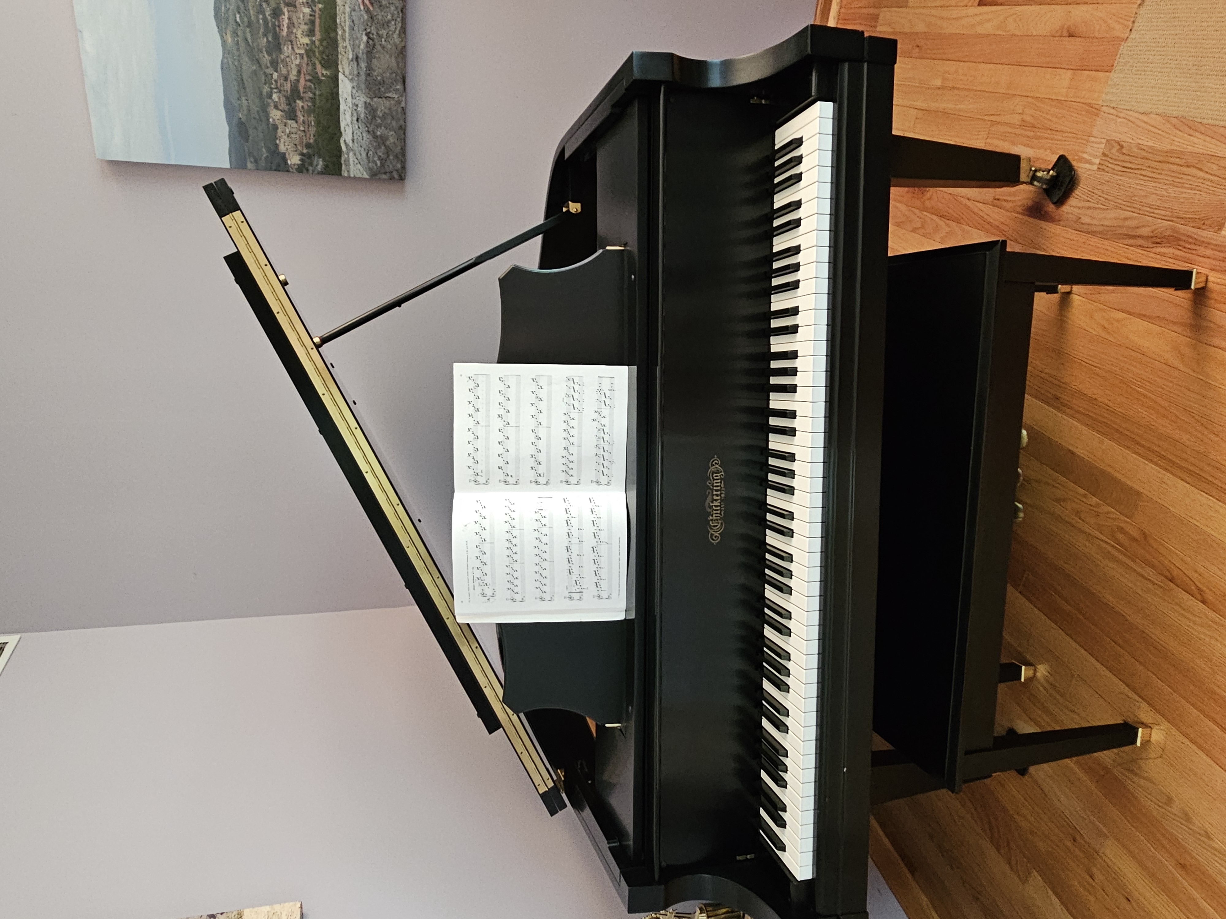 Baby Grand Piano for sale