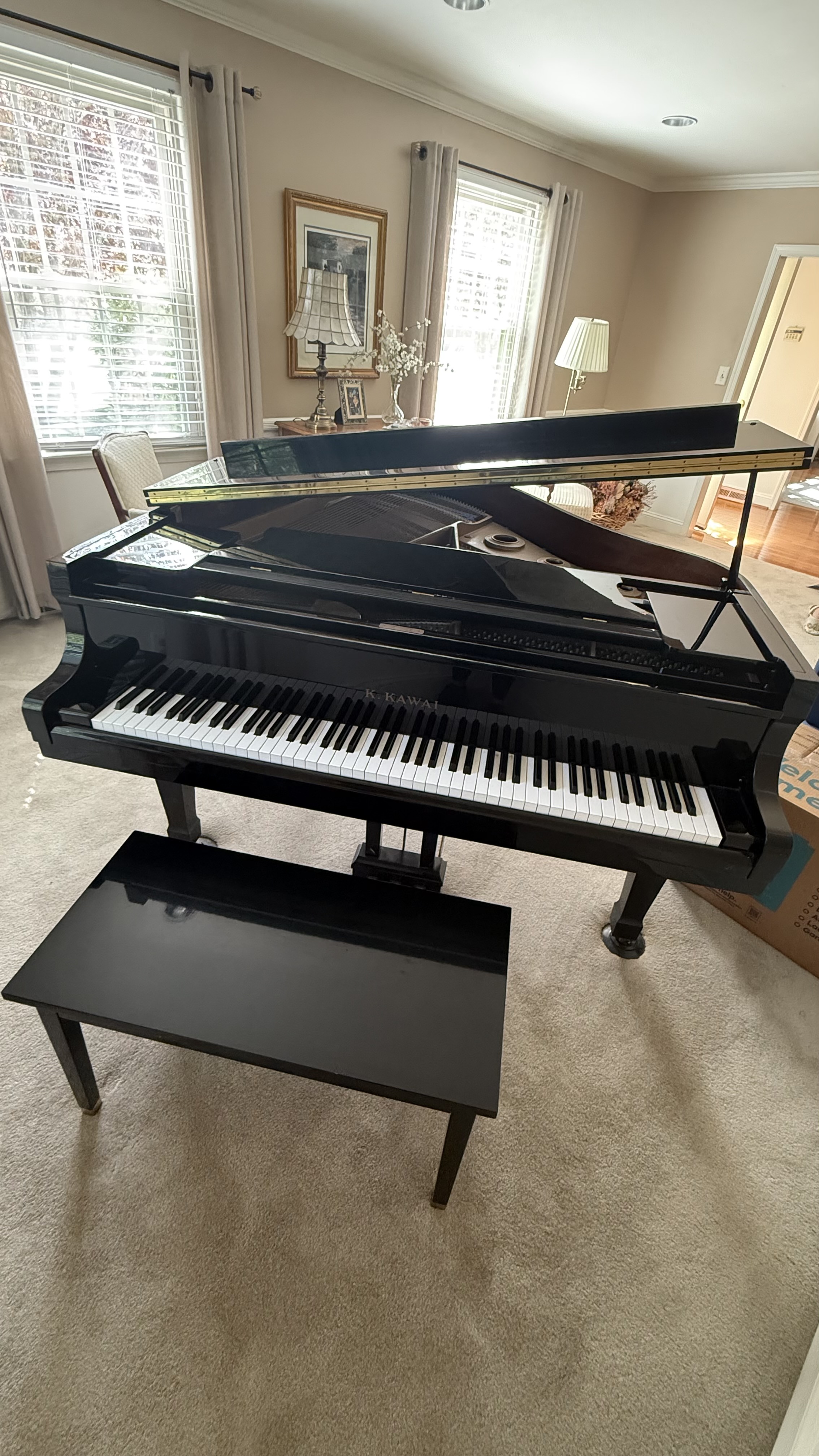 Beautiful Baby Grand Piano in Great Condition