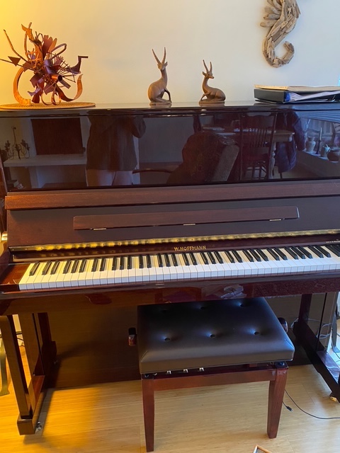 Hoffman's C Bechstein upright