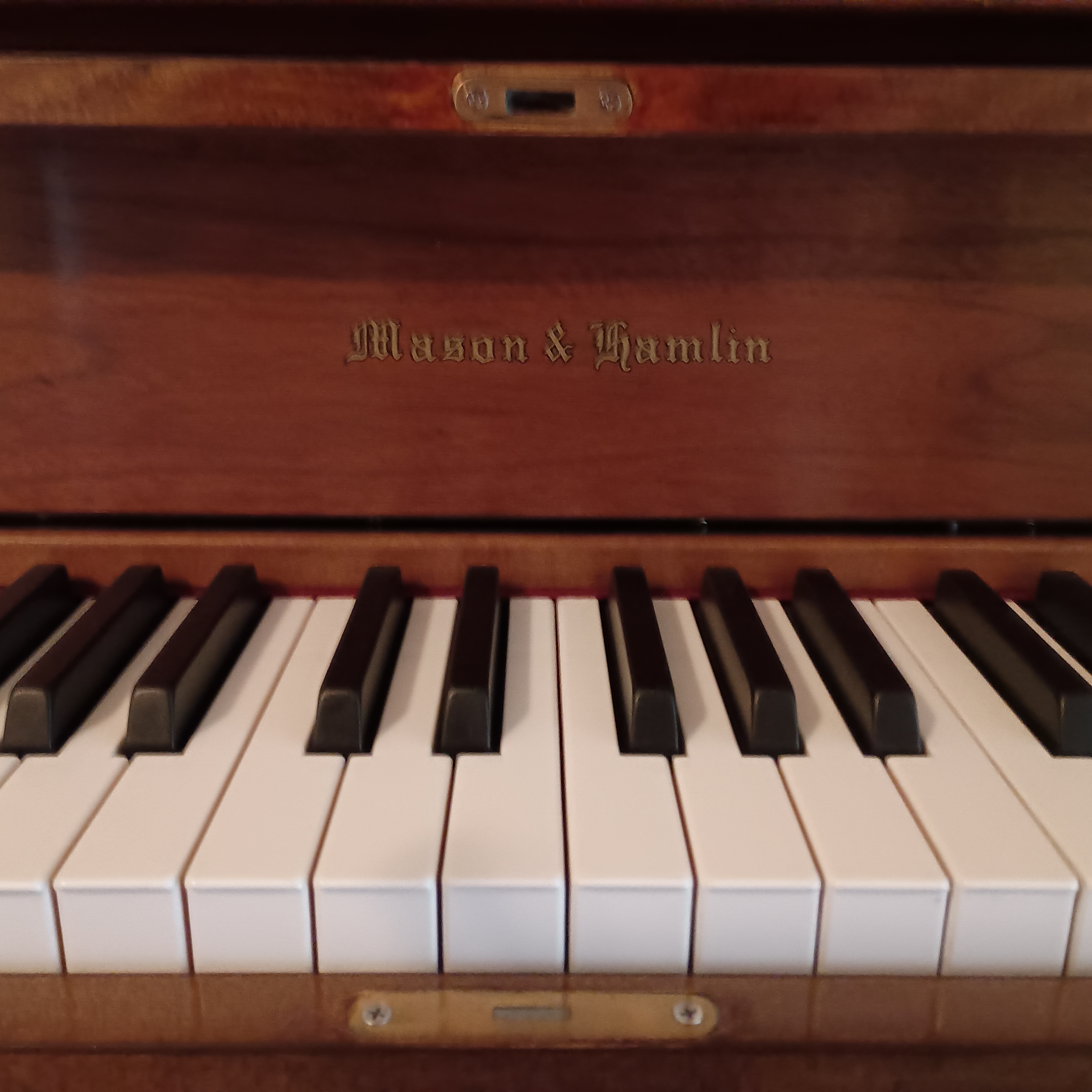 Mason Hamlin 50