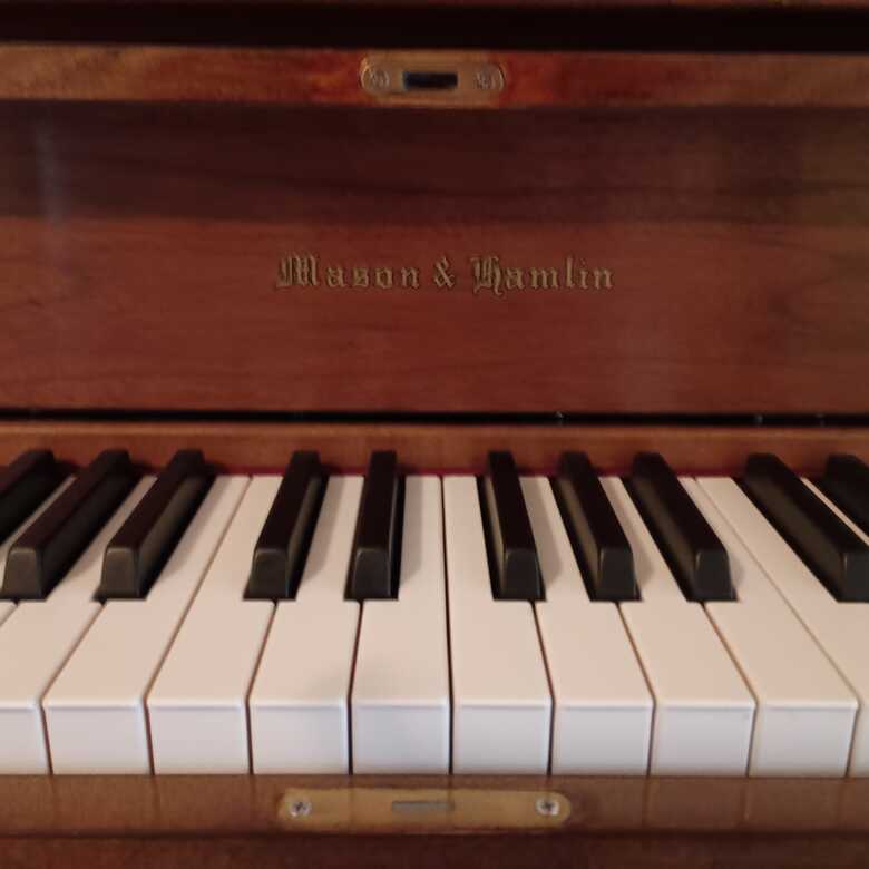 Mason Hamlin 50